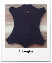 Aubergine