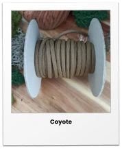 Coyote