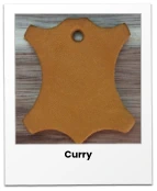 Curry