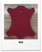 Rot