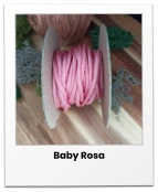 Baby Rosa