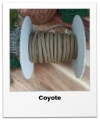 Coyote