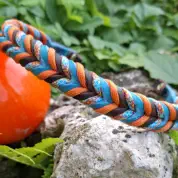 Zügel Blaer ab 60,00 €