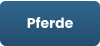 Pferde