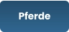 Pferde