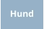 Hund