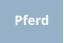 Pferd