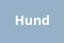 Hund