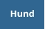 Hund